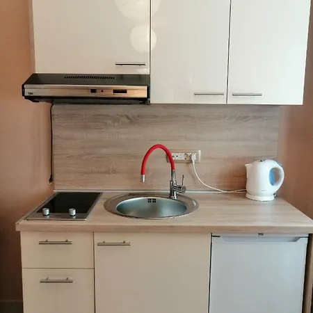 דירות ביילה Studio Apartman Irena 2 מראה חיצוני תמונה